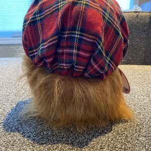 See You Jimmy Hat - Royal Stewart