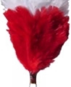 White over Red 3 Inch Feather Hackle