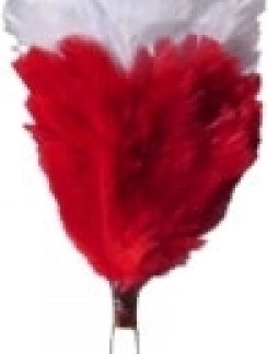 White over Red 3 Inch Feather Hackle